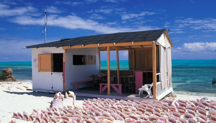 Da Conch Shack