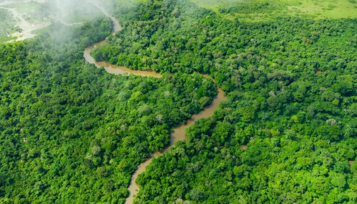 LE FLEUVE CONGO