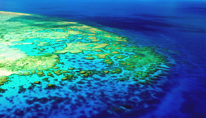 La Grande Barrière de corail en Australie