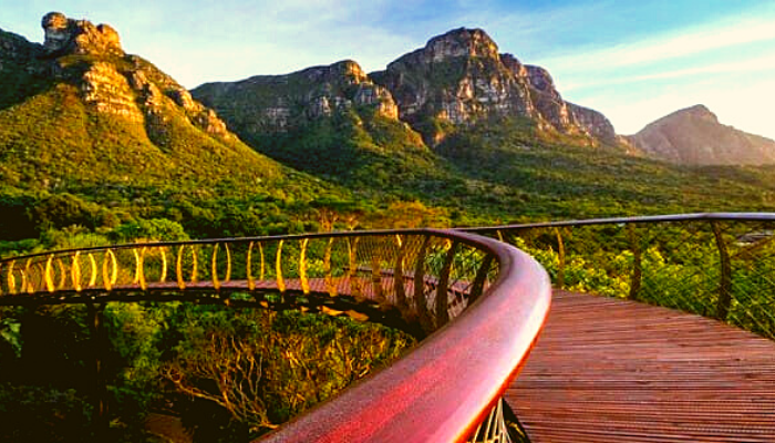 Le jardin botanique de Kirstenbosch