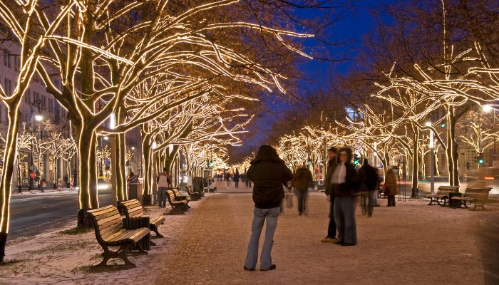 the most beautiful avenues in Europe- Unter den Linden