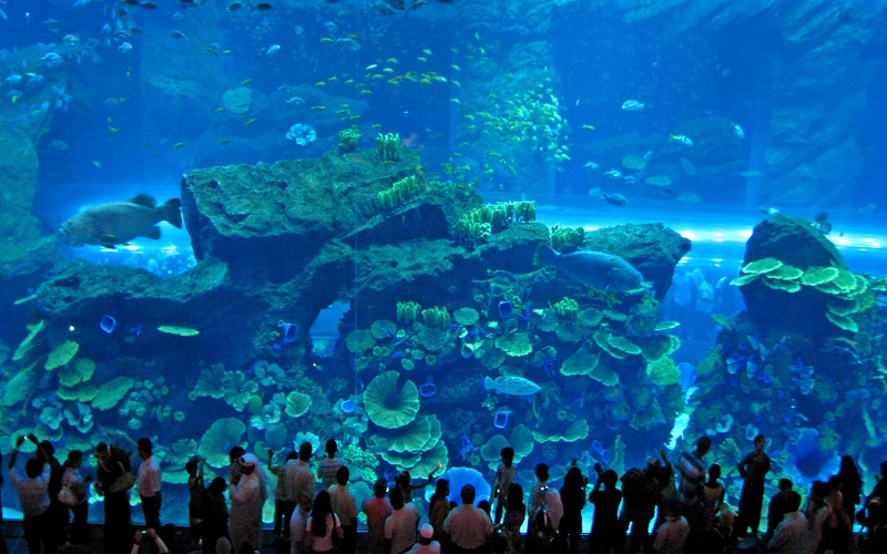The most beautiful aquariums in the world