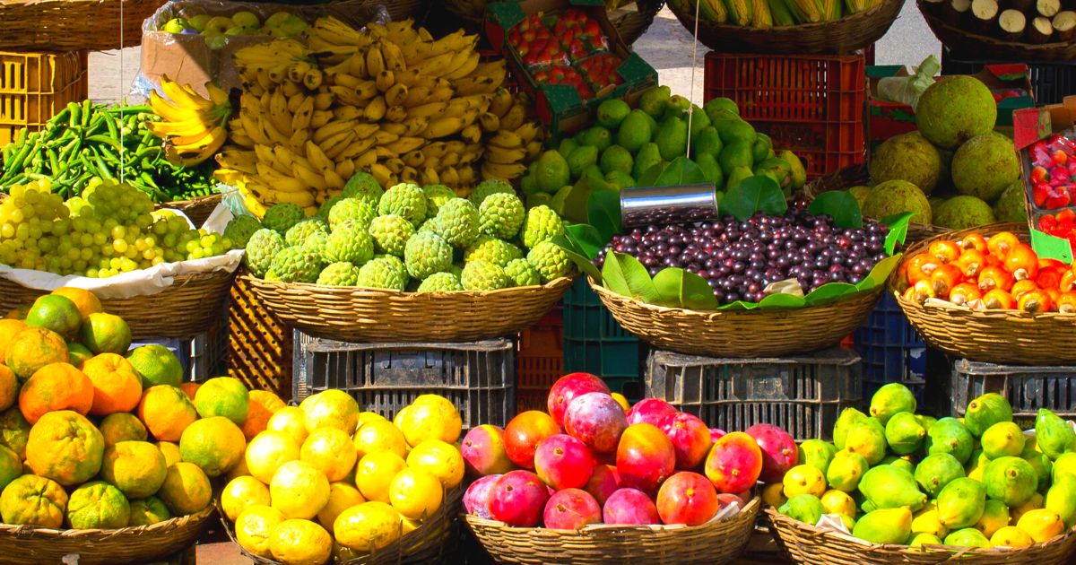 Votre_texte_de_paragraphe_5_1