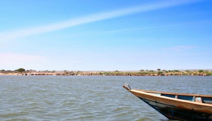 Lac Victoria Tanzanie Kenya Ouganda