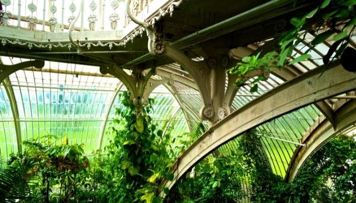 The Royal Gardens of Kew