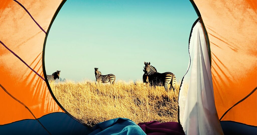 Votre_texte_de_paragraphe_2_1