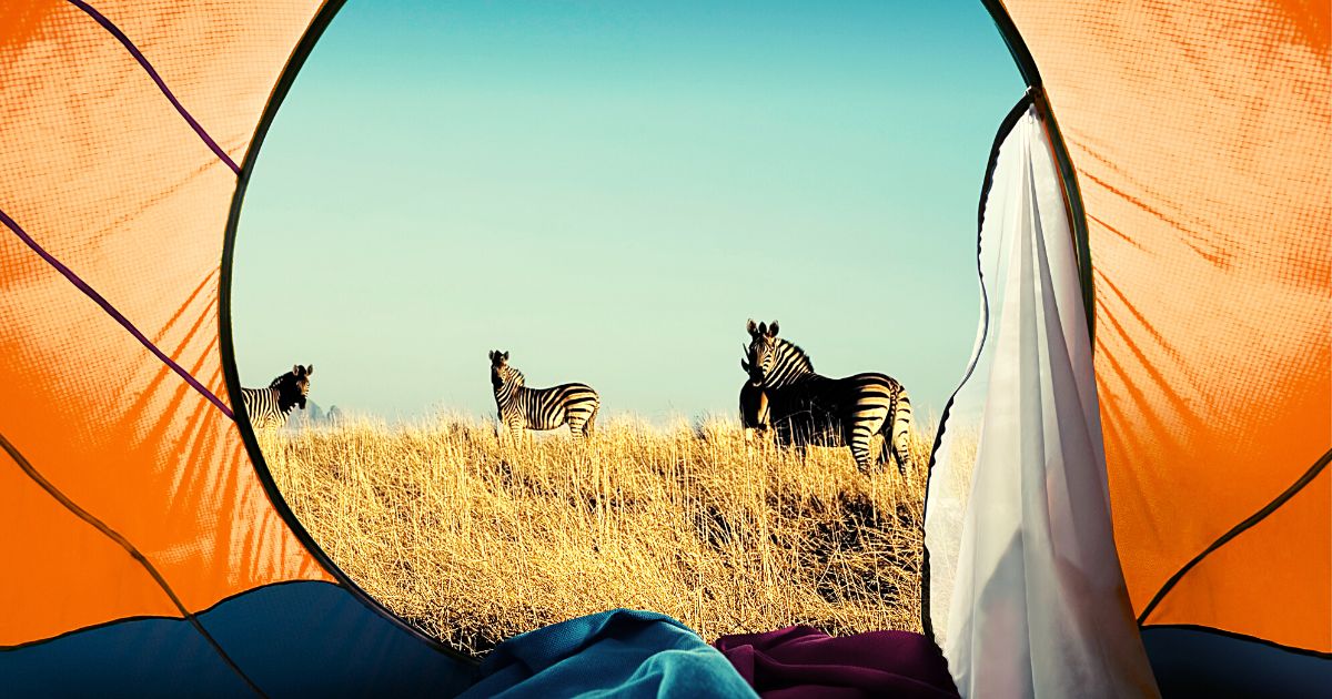 Votre_texte_de_paragraphe_2_1